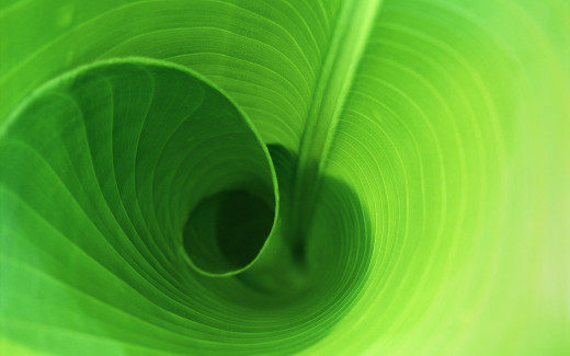 447583 (a): :2560x1600